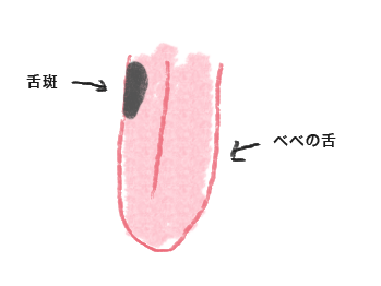 舌斑 トイプードル