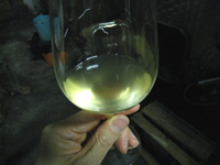 アルザス ガングランジェ ワイン2