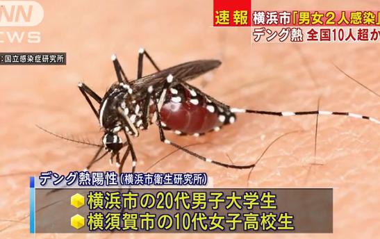 デング熱、新たに横浜・横須賀で2名が陽性反応、新潟で1人が感染の疑い、いずれも東京の代々木公園周辺を訪れる … この3人とは別に、更に少なくとも10人以上がデング熱に感染した疑い