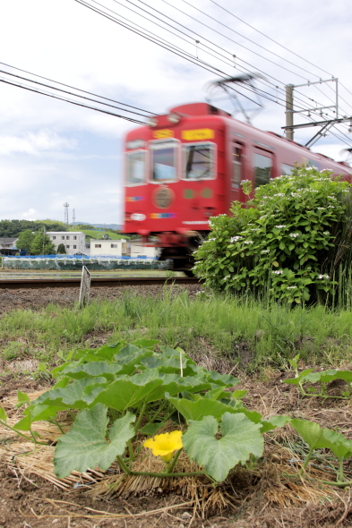 2009年6月 和歌山電鐵貴志川線 吉礼～伊太祈曽