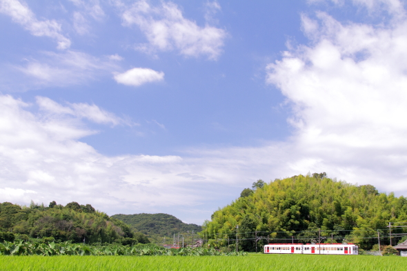 2014/8/11 和歌山電鐵貴志川線 大池遊園～西山口