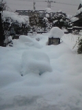 雪景色20140215 (1)