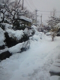 雪景色20140215 (12)