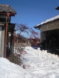 雪景色20140216