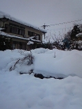 雪景色20140215 (16)