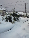 雪景色20140215 (2)