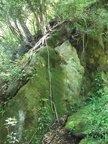 5m岩