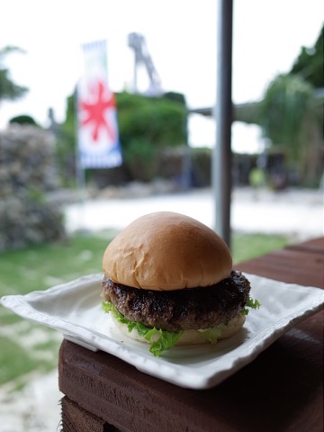 burgertaketomi11.jpg